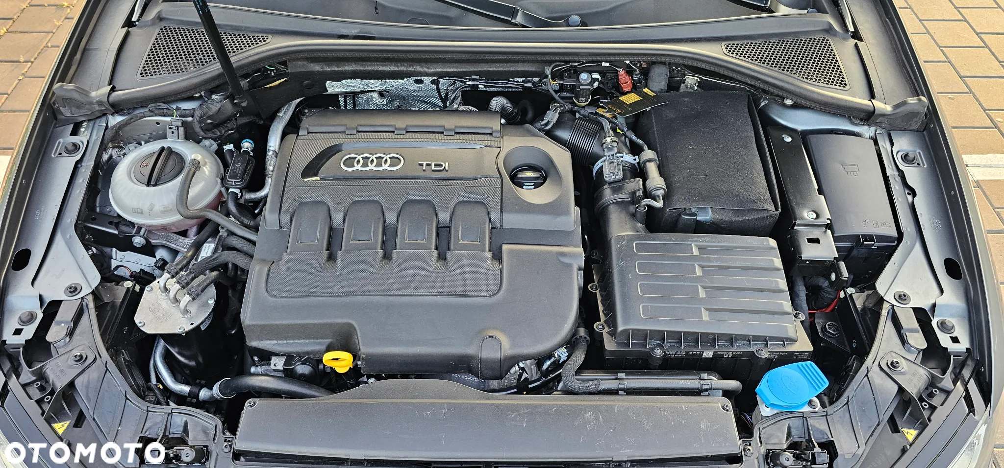 Audi A3 1.6 TDI clean diesel Ambiente - 33
