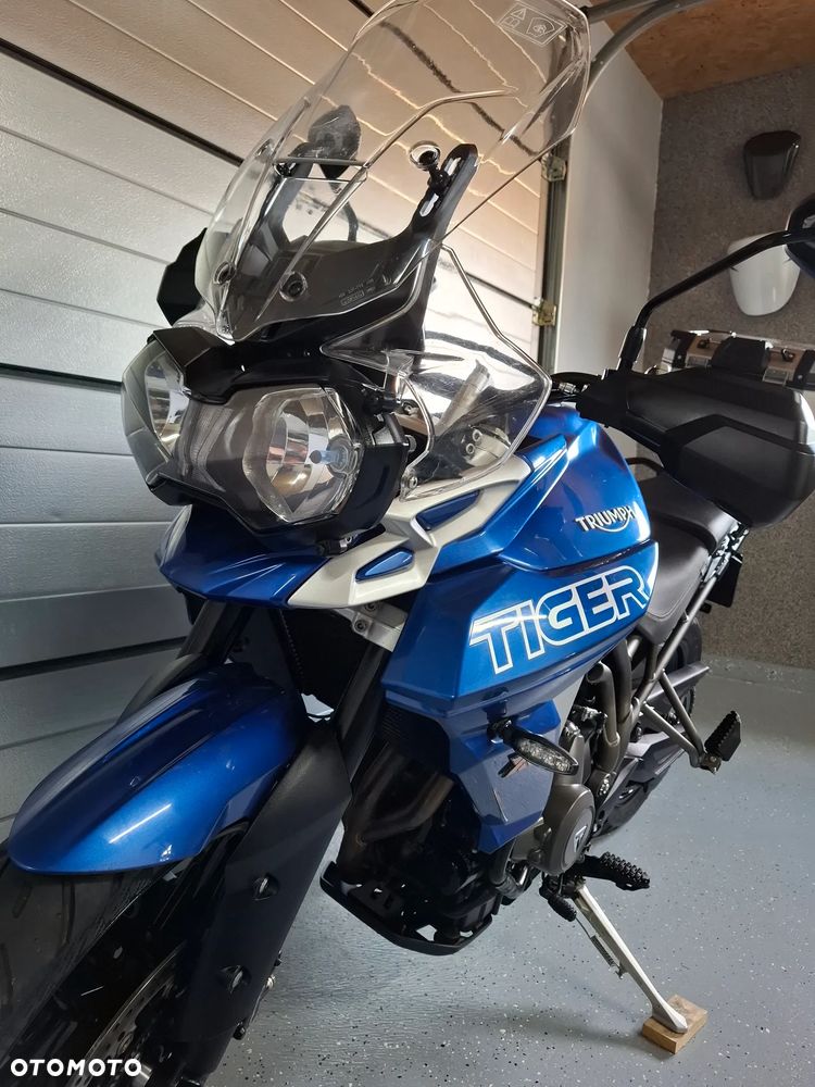 Triumph Tiger - 1