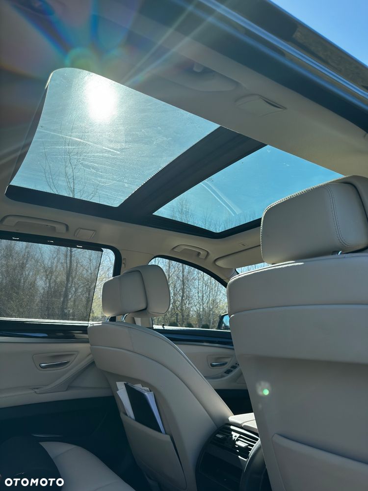 BMW Seria 5 520d Blue Performance - 11