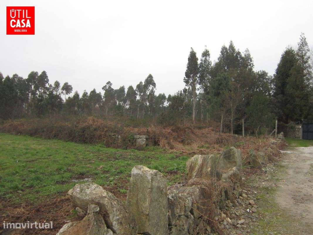 Terreno em Fragoso - Zona Industrial - Grande imagem: 3/5