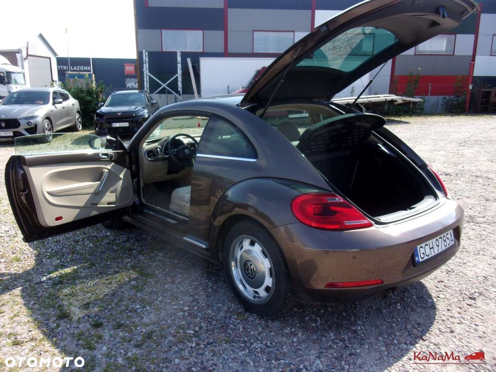 Volkswagen Beetle - 12