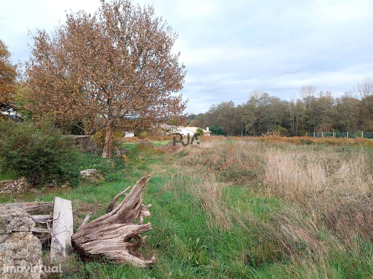 Terreno para construção em Quintela de Azurara, Mangualde - Grande imagem: 2/7