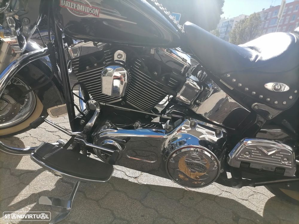 Harley-Davidson FLSTC - 3