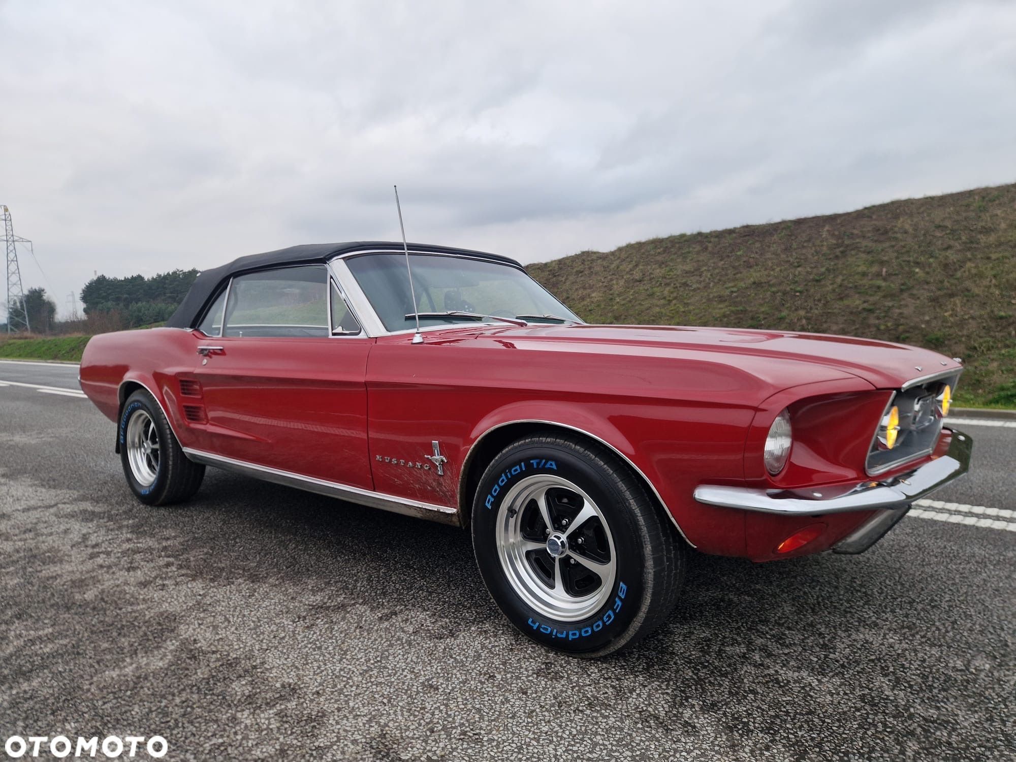 Ford Mustang - 1