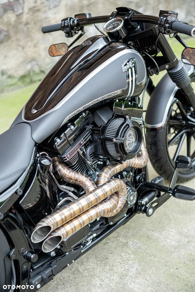 Harley-Davidson Softail Slim - 15