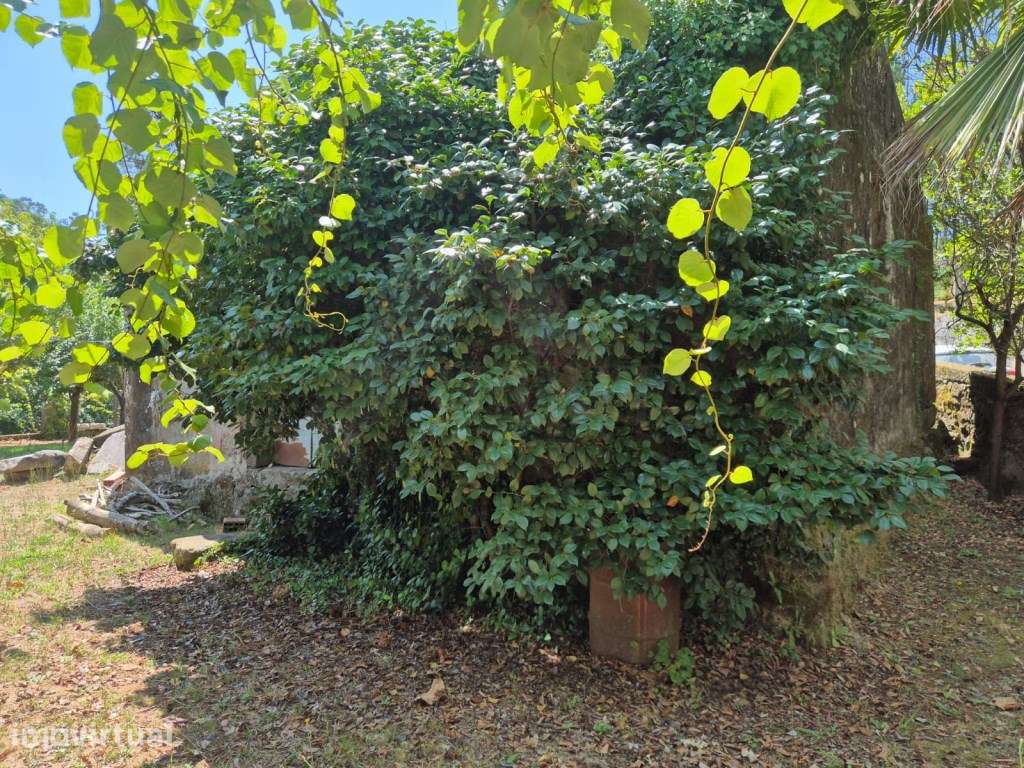 Moradia T2 c/ logradouro em Estorãos - Grande imagem: 5/19