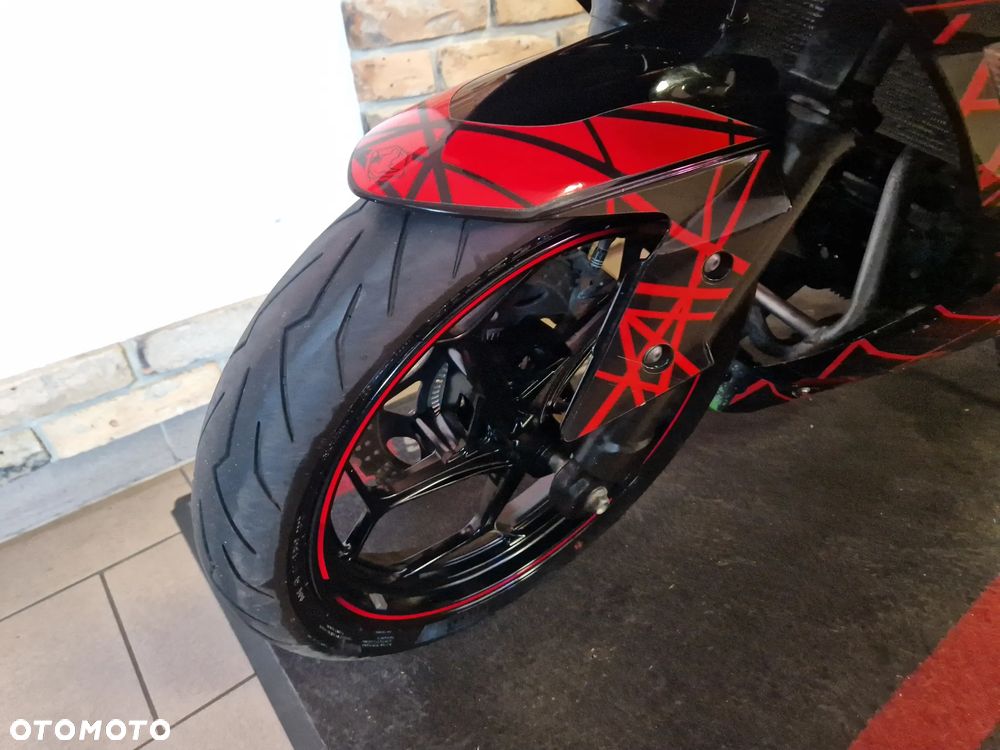 Kawasaki Ninja 300 ABS - 16