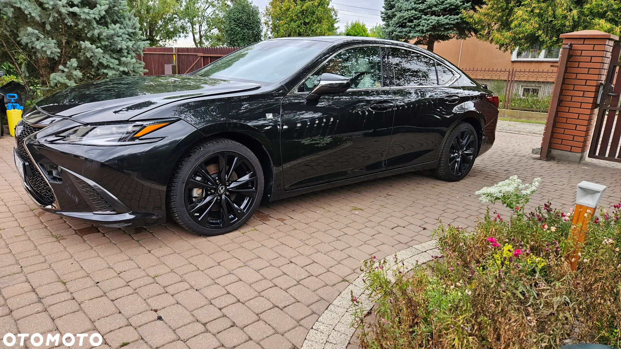 Lexus ES 300h F Sport Edition - 10