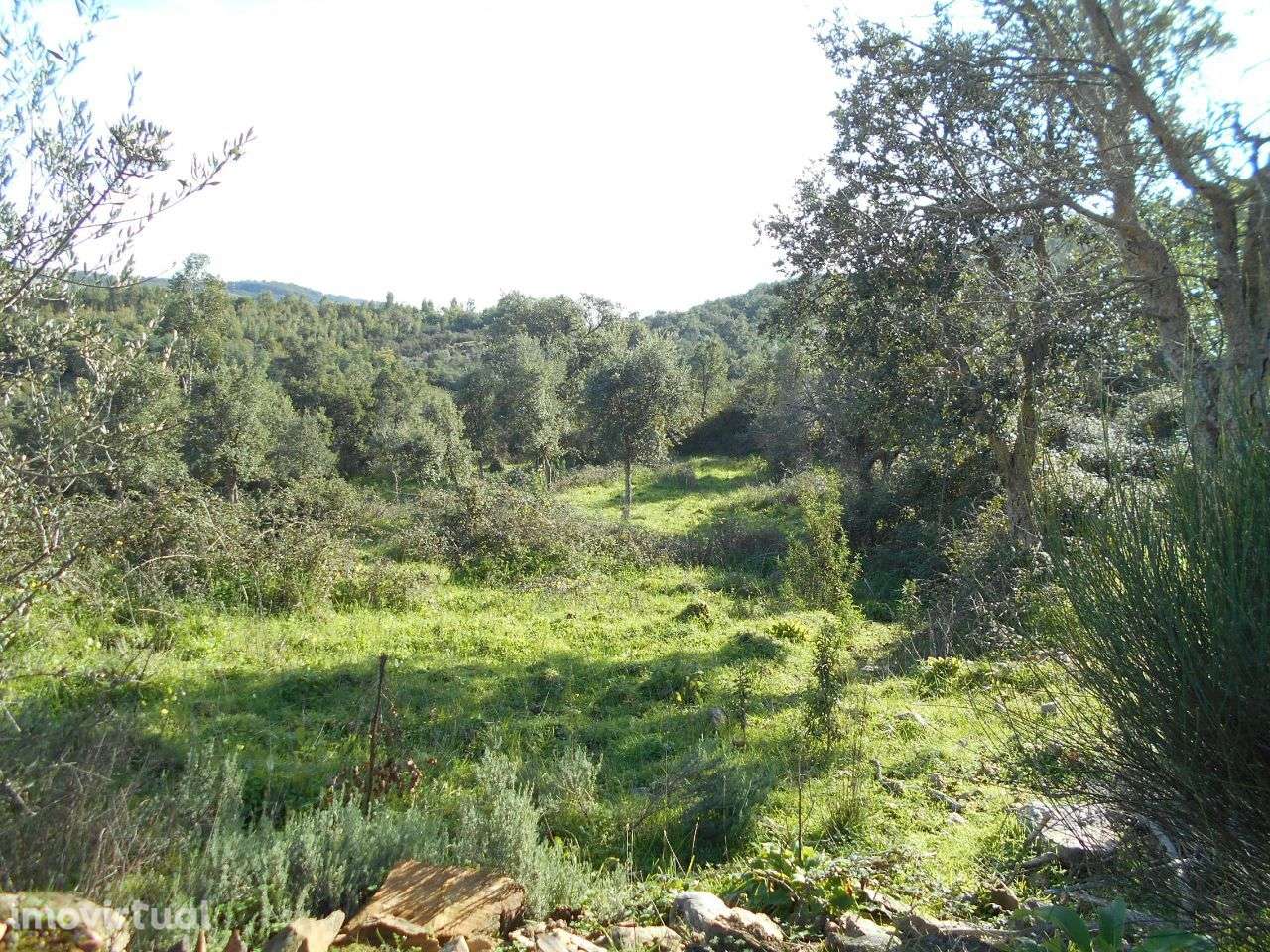 Quinta - Grande imagem: 3/9