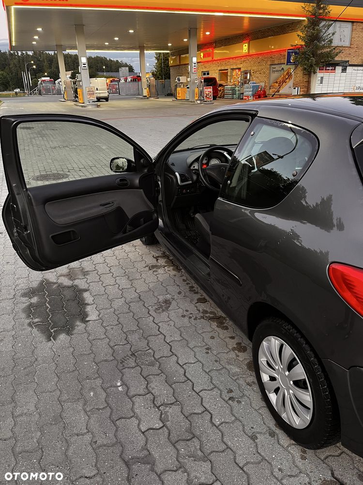 Peugeot 206 plus - 6