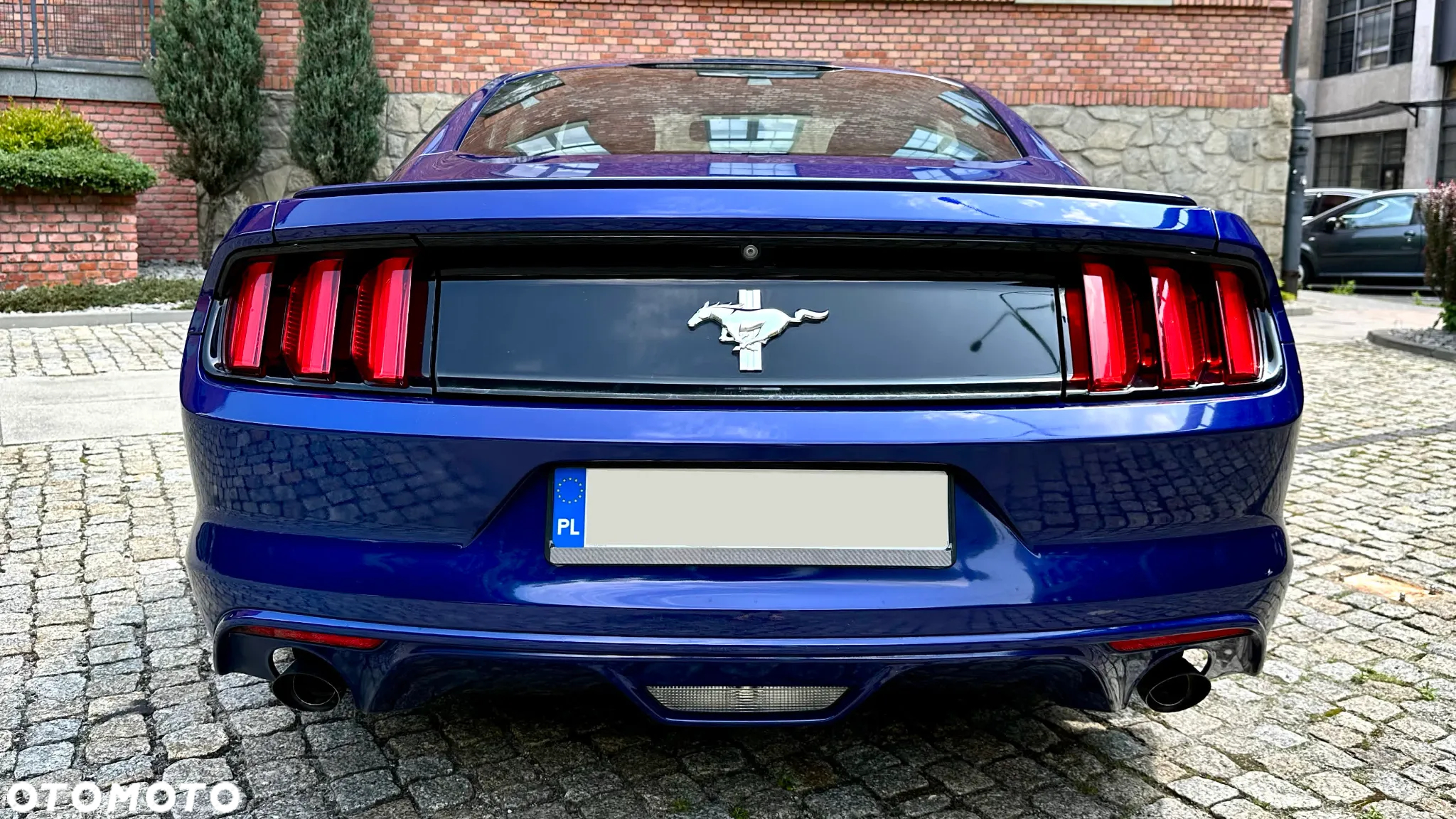 Ford Mustang 3.7 V6 - 11