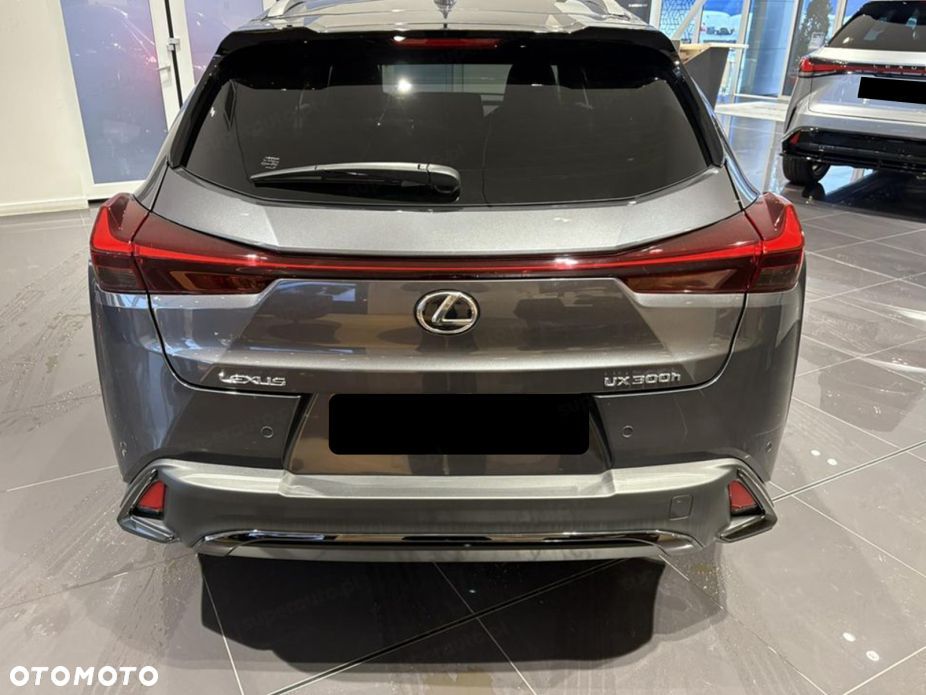 Lexus UX 300h F Sport Design - 5