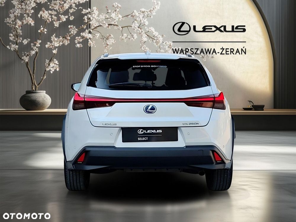 Lexus UX 250h GPF F Impression 2WD - 6