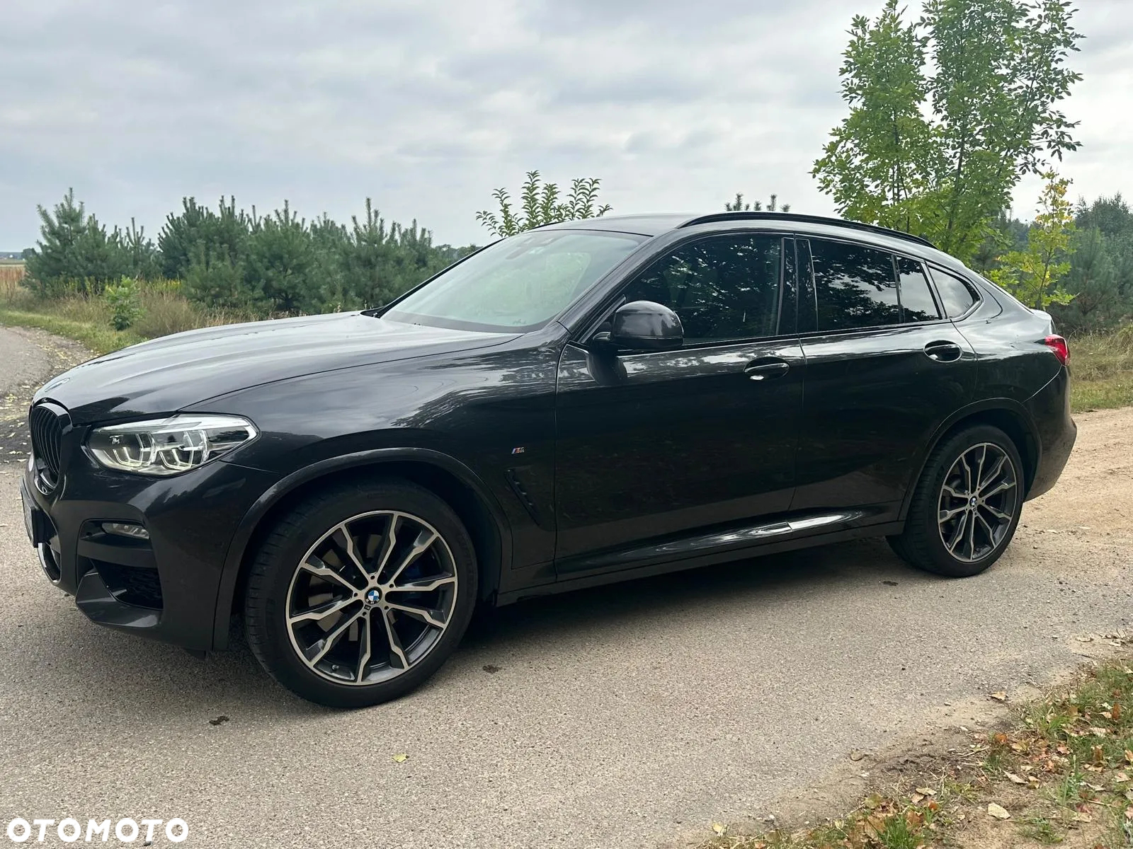 BMW X4 xDrive30d Advantage sport - 8