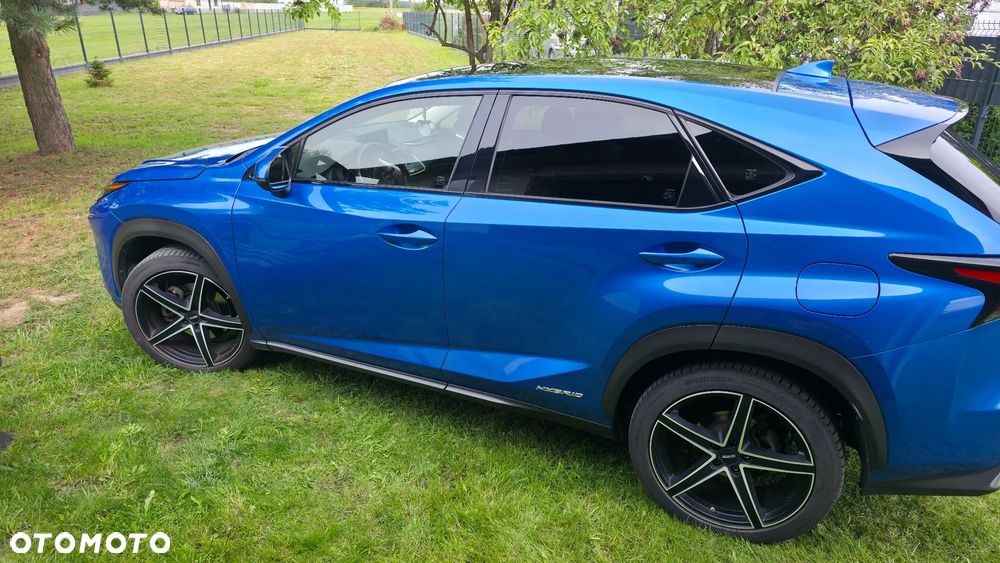 Lexus NX 300h Omotenashi AWD - 15