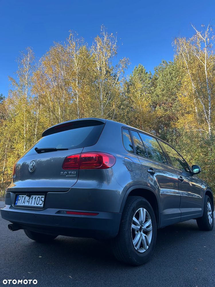 Volkswagen Tiguan - 11