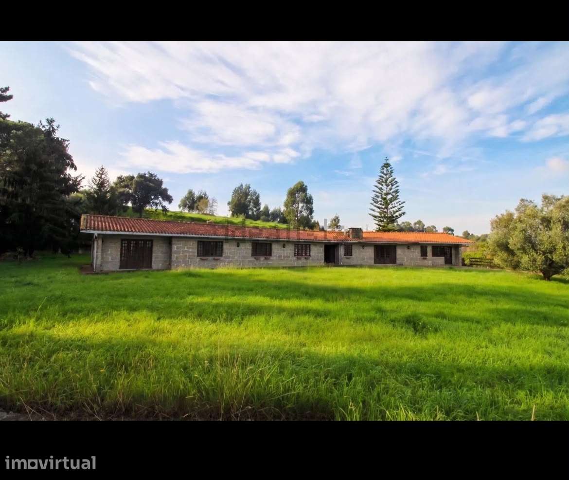 Quinta com Vista Privilegiada sobre o Rio Douro | Oliveira do Douro - Grande imagem: 3/13