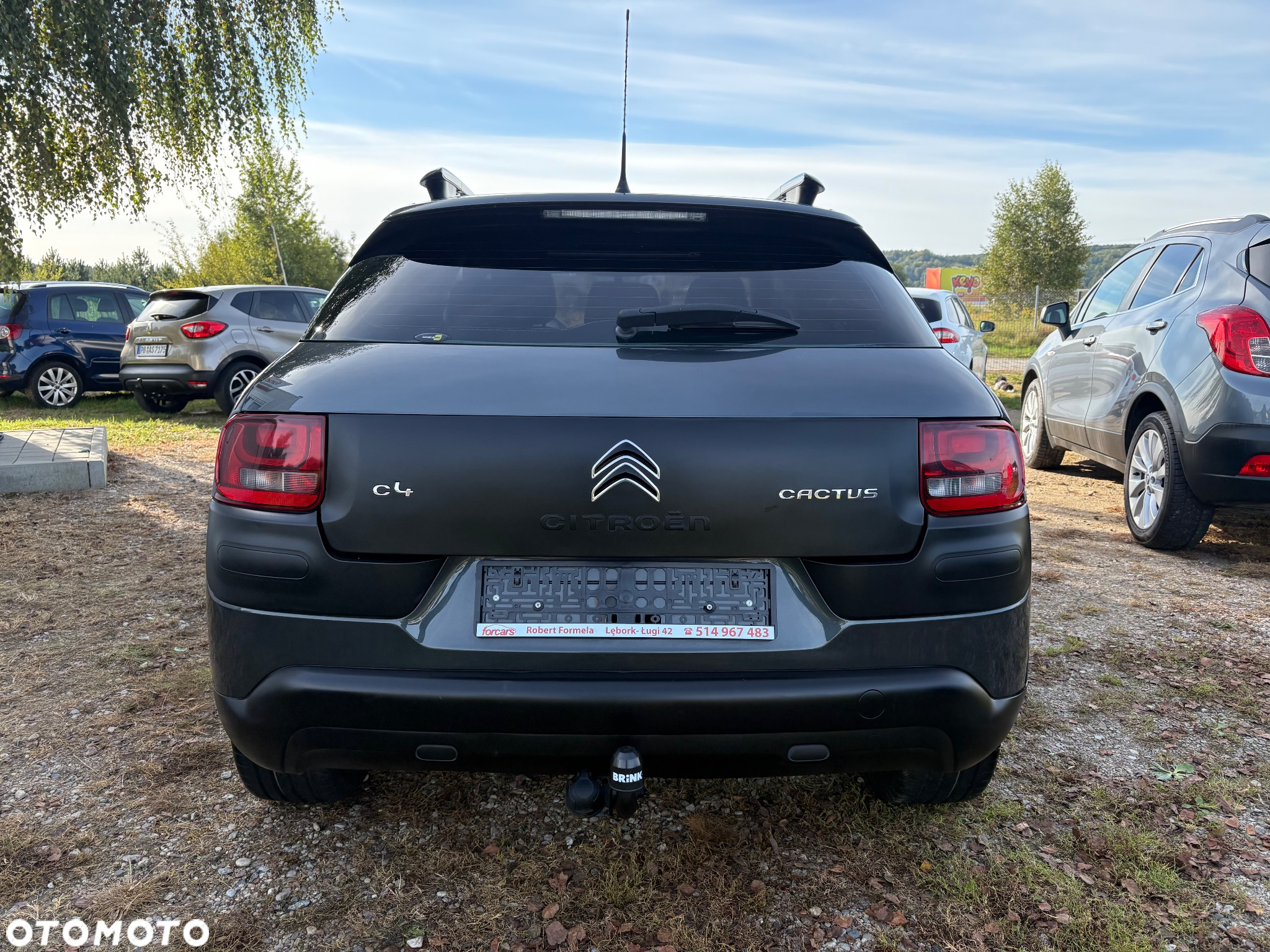 Citroën C4 Cactus 1.6 e-HDi Shine ETG - 19