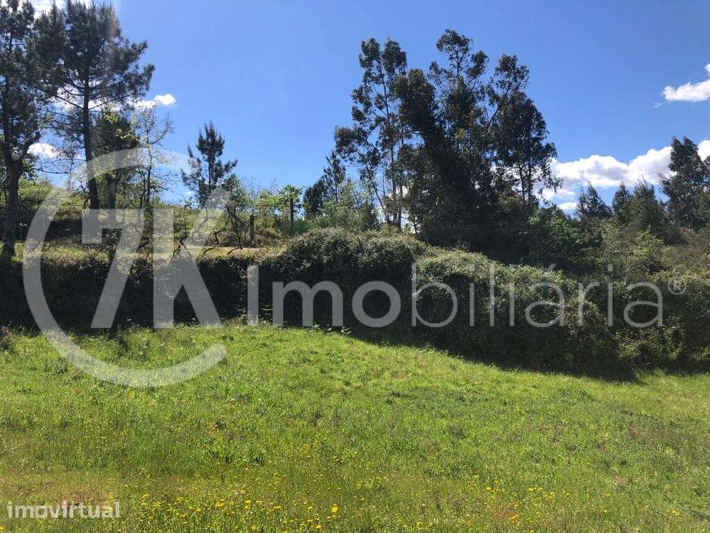 Terreno sito na Légua - Grande imagem: 2/14