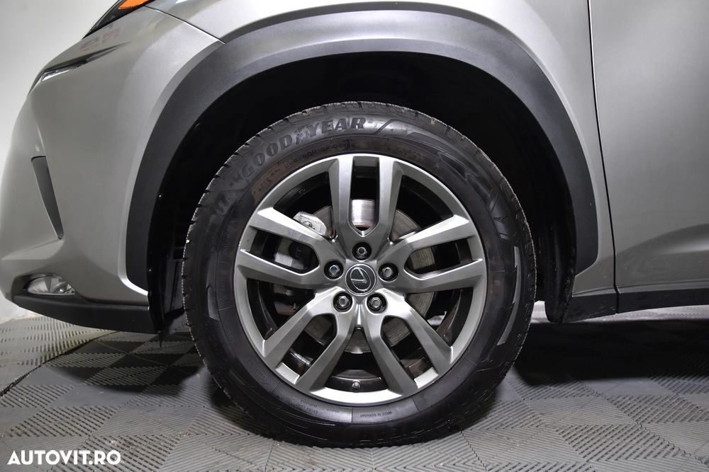 Lexus Seria NX 300h - 13