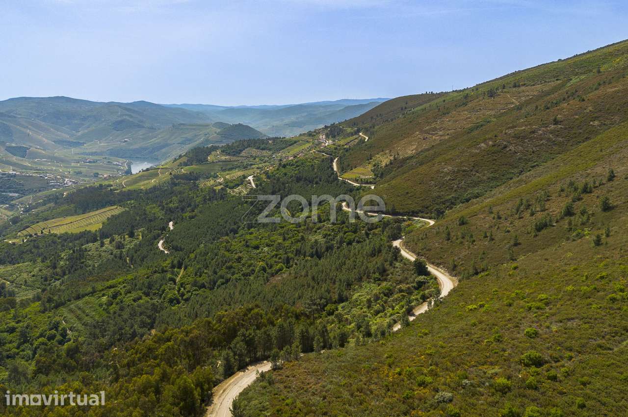 Quinta das Beatas, Gouvães do Douro - Grande imagem: 2/20