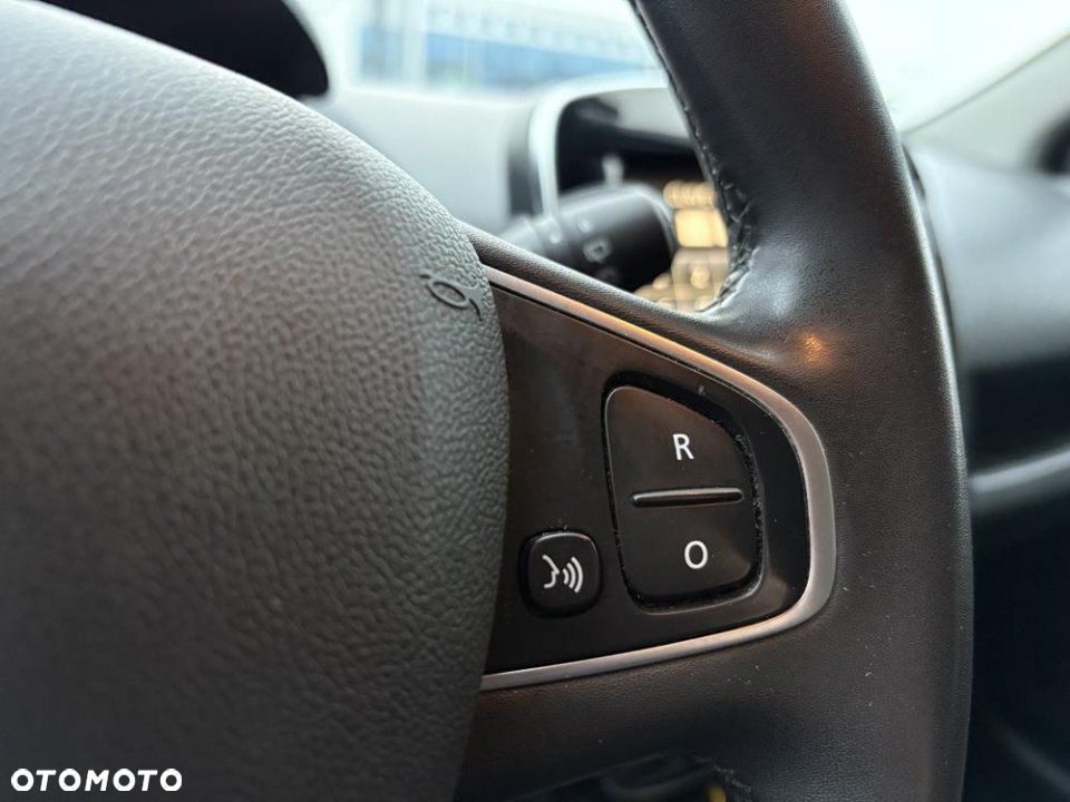 Renault Clio - 19