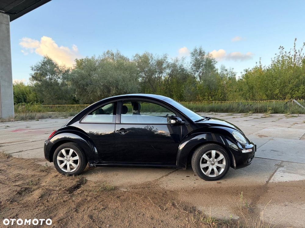 Volkswagen Beetle - 6