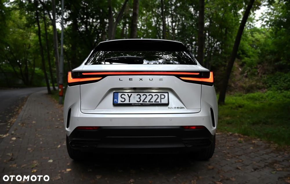Lexus NX - 10