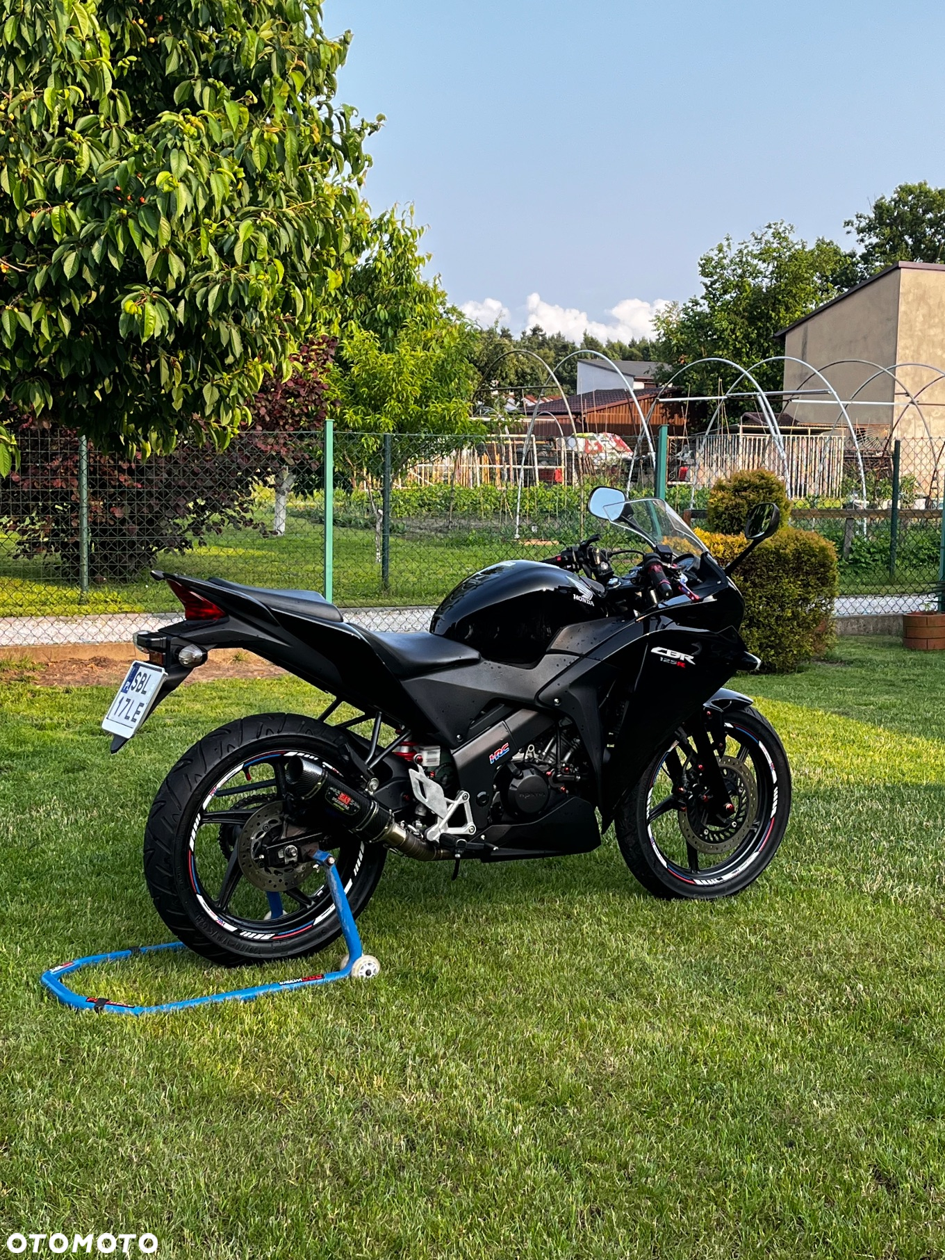 Honda CBR - 6