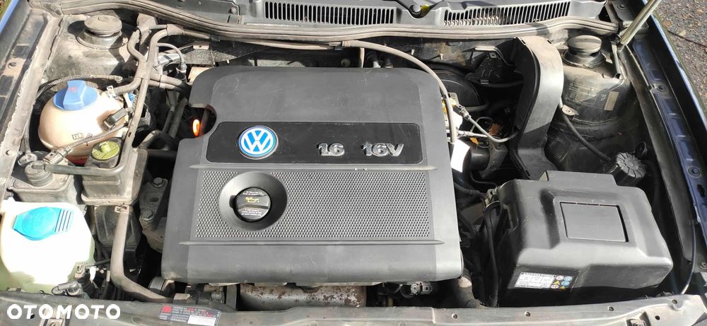 Volkswagen Golf IV 1.6 Q - 5