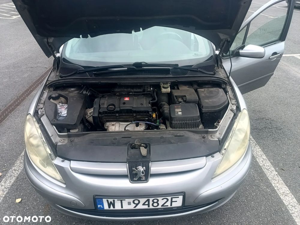 Peugeot 307 - 20