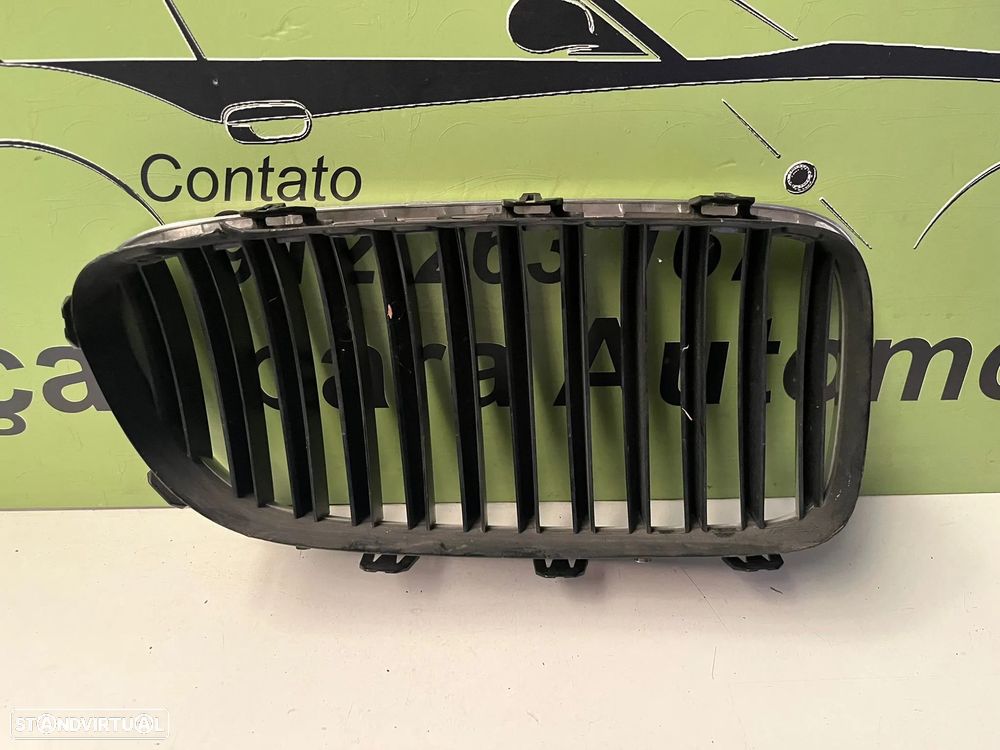 BMW 5 F10 GRELHA FRENTE ESQUERDA - G137 - 2