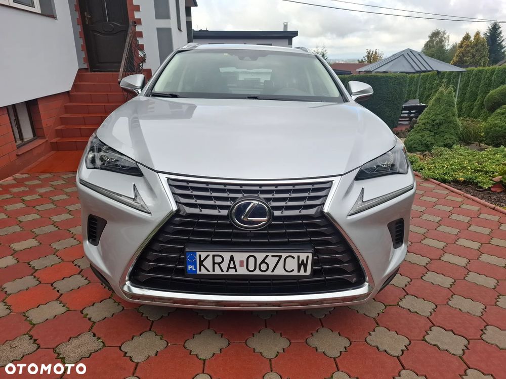 Lexus NX - 2
