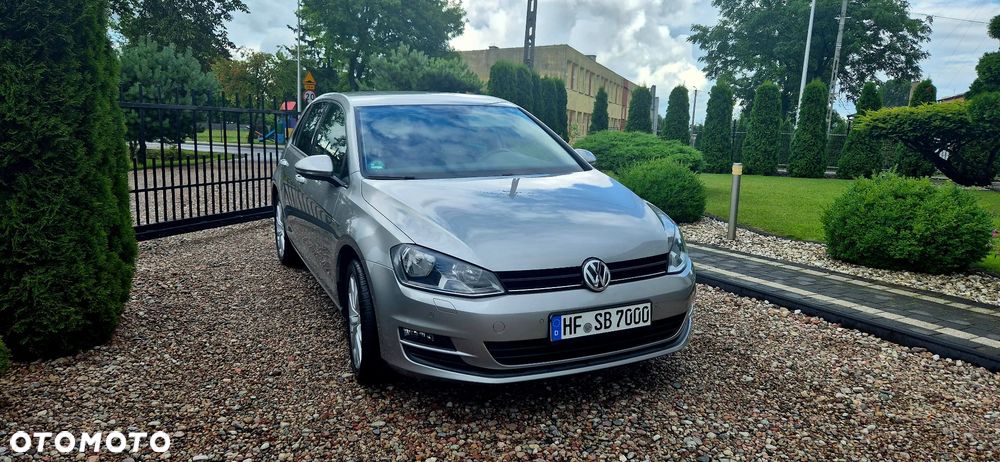 Volkswagen Golf - 28