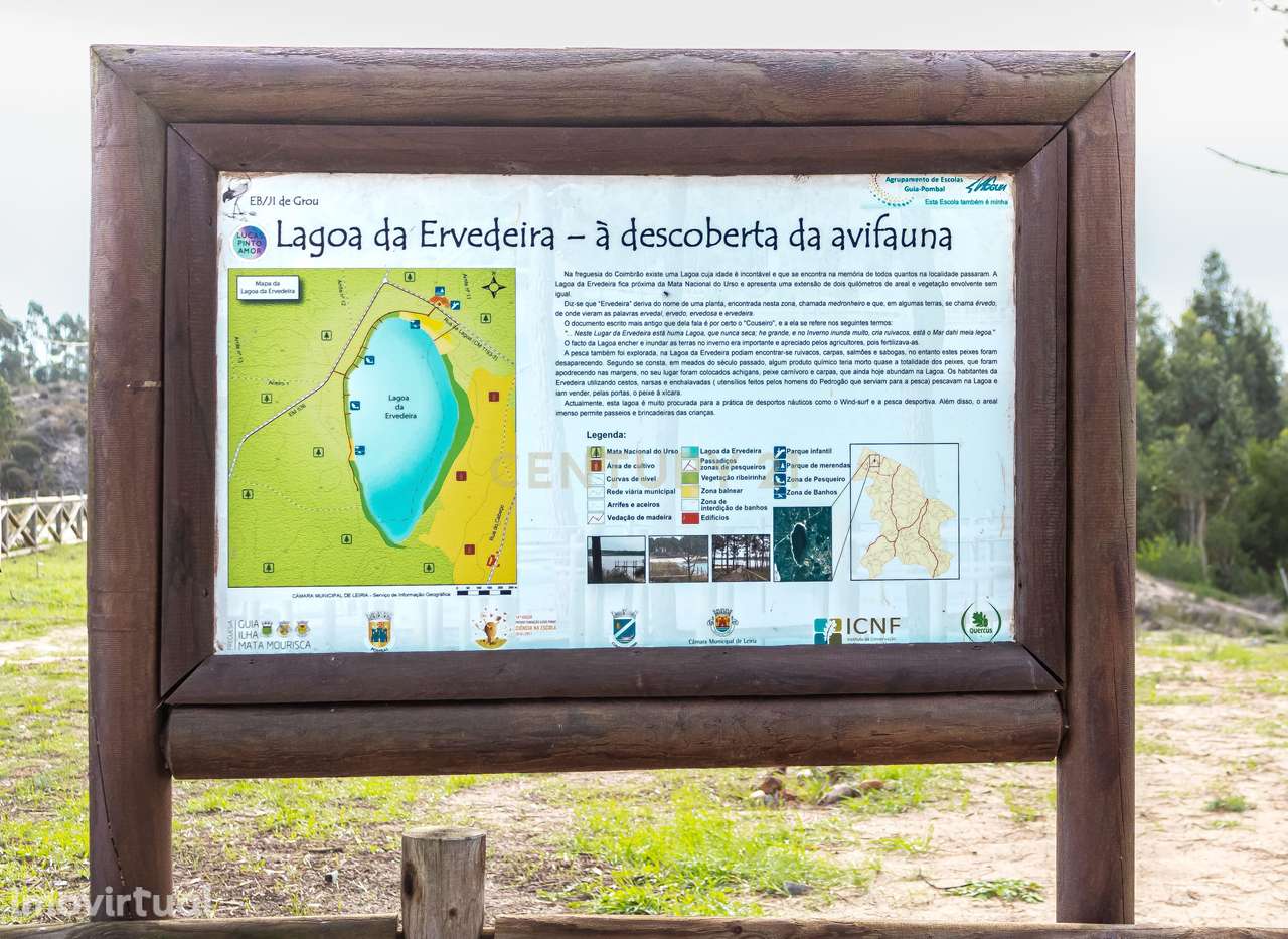 Terreno | Viabilidade de Construção | Monte Redondo | Leiria - Grande imagem: 2/27