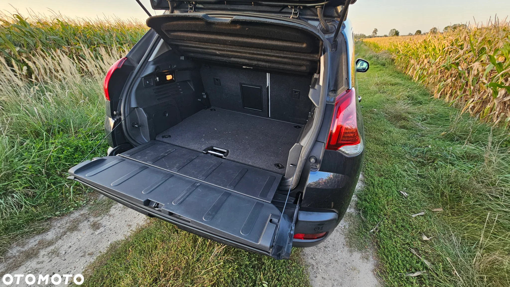 Peugeot 3008 - 19