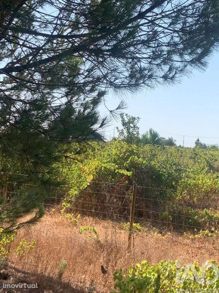 Terreno em Poceirão e Marateca de 1061,00 m2 - Grande imagem: 3/30