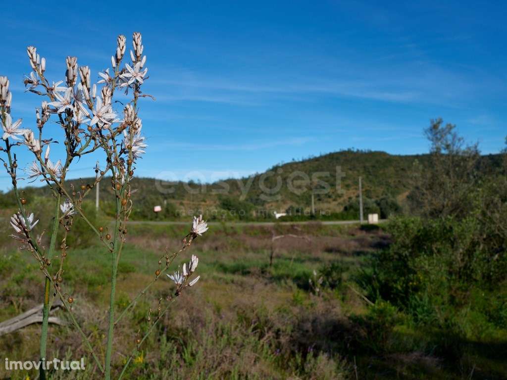 Terreno Rústico - Natureza e Tranquilidade perto de Alcoutim - Grande imagem: 5/12