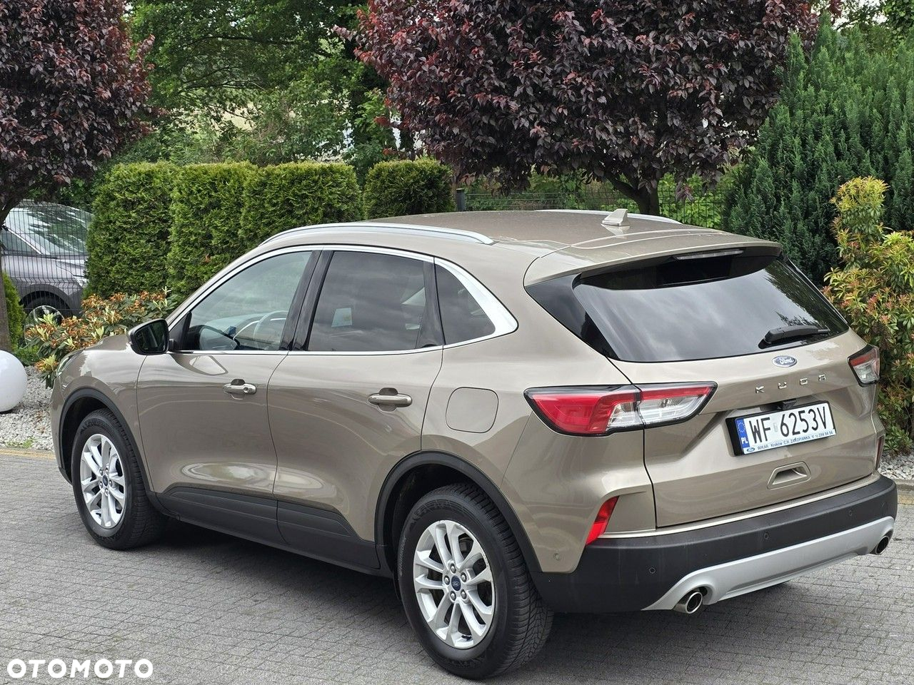 Ford Kuga 1.5 EcoBlue FWD Titanium - 2