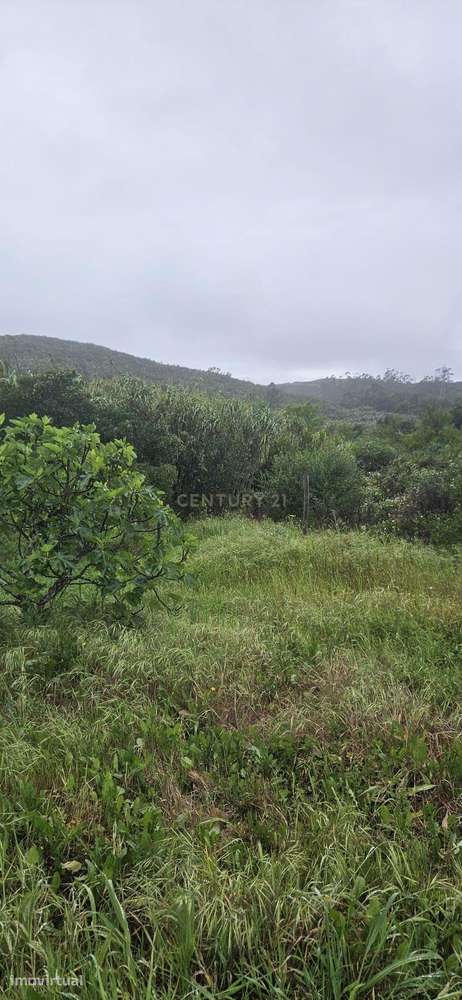 Terreno rústico com 2.750 m² (0,275 ha), localizado na zona de Canafec - Grande imagem: 5/8