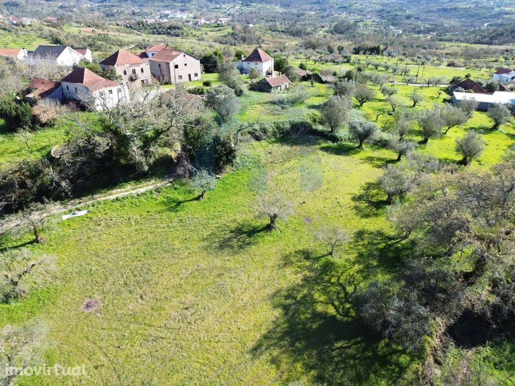 Terreno Campestre com Viabilidade de Construção - Pombal - Grande imagem: 5/9