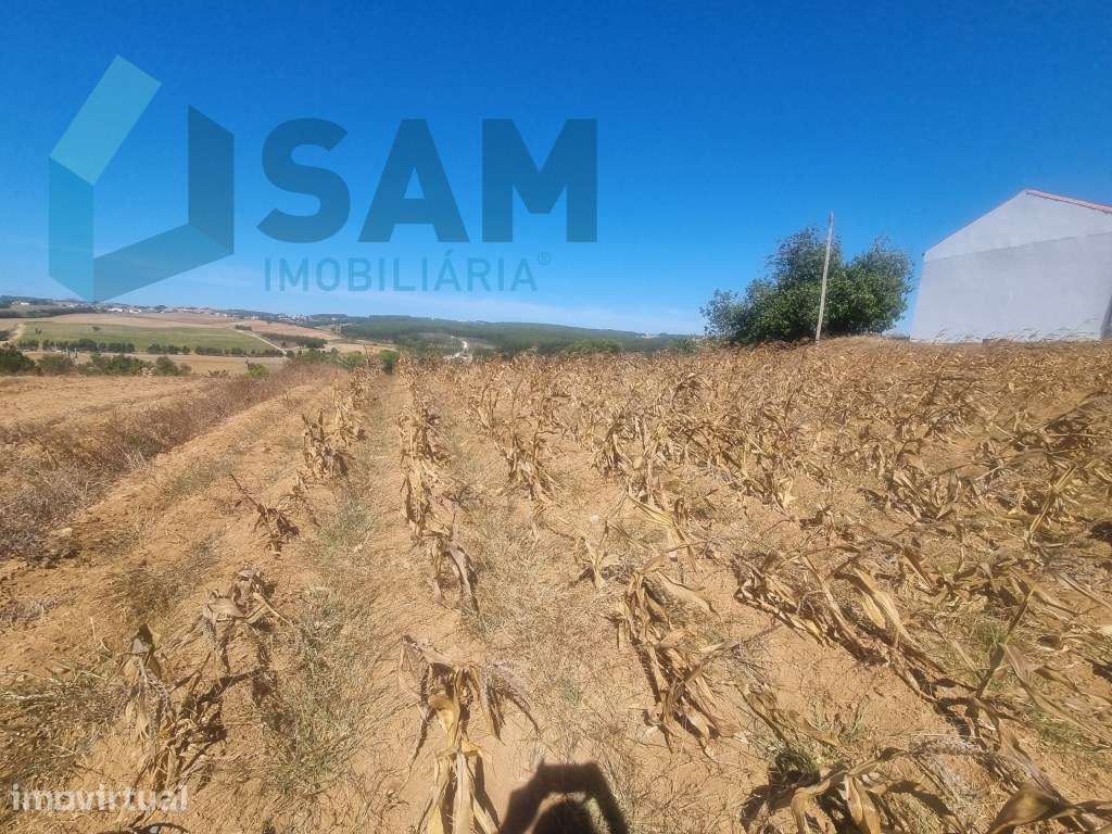 Terreno com Vista Desafogada em Área Urbanizável-Campelos - Grande imagem: 3/11