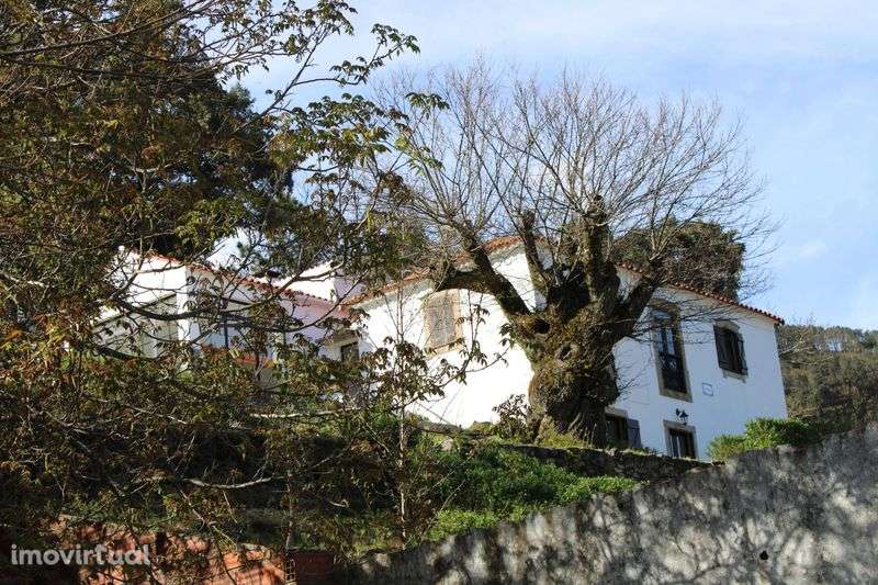 quintinha em Castanheira de Pera - Grande imagem: 3/12