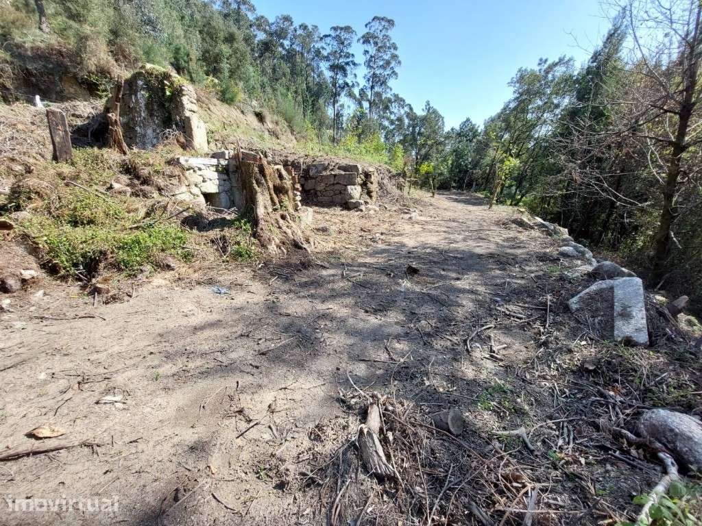 Terreno c/ Ruína em Pedra - Vilela - Grande imagem: 5/10