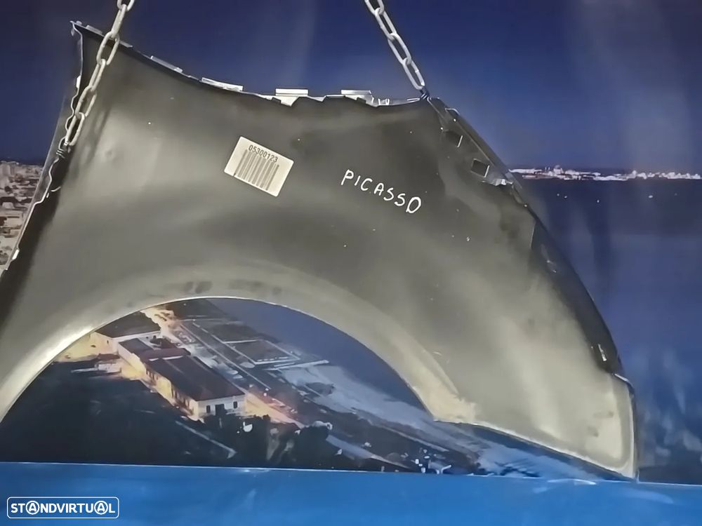 Guarda lama frente esquerda originais para Citroen C4 Picasso  2006 - 4