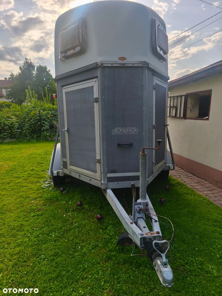 Böckmann - 1