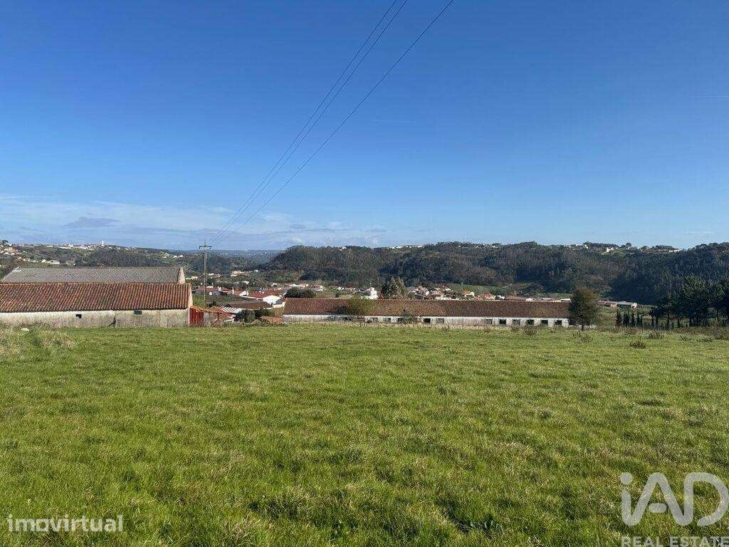Terreno para construção em Alfeizerão - Grande imagem: 2/12