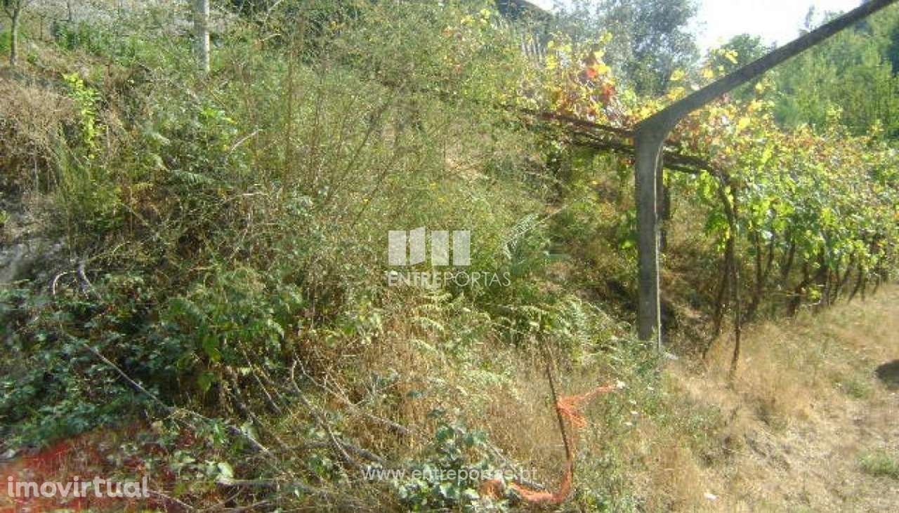 Venda Terreno, vista desafogada, Paredes de Viadores, Marco de Canaves - Grande imagem: 3/6