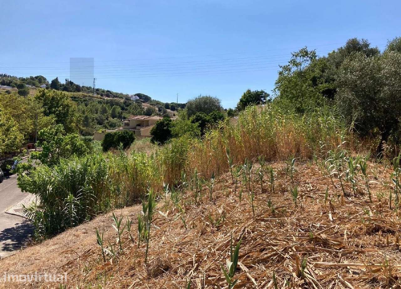 Terreno pronto a construir com Projeto em fase de APROVAÇÃO na Qta da - Grande imagem: 3/21
