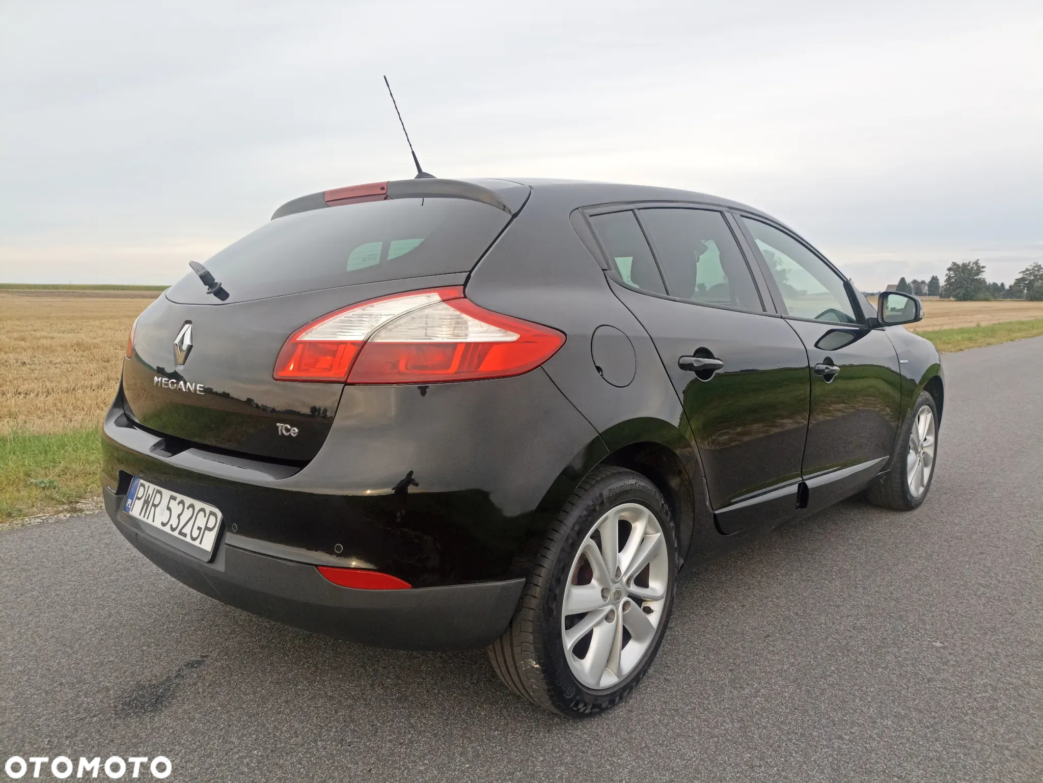 Renault Megane - 6